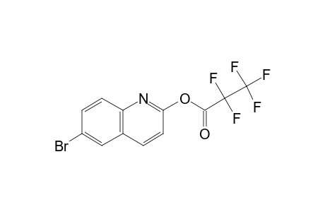 6-Bromo-2-hydroxyquinoline, pentafluoropropionate