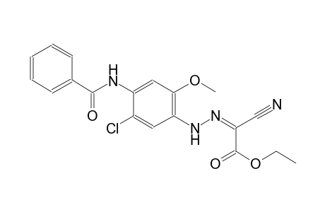 ethyl (2Z)-{[4-(benzoylamino)-5-chloro-2-methoxyphenyl]hydrazono}(cyano)ethanoate