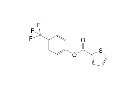 4-(Trifluoromethyl)phenyl thiophene-2-carboxylate