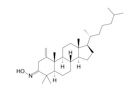 4,4-Dimethyl-1-methylene-5.alpha.-cholestan-3-one oxime