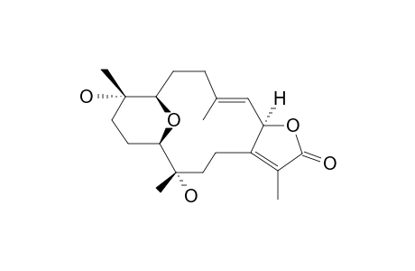 SARCOPHYOLIDE-E