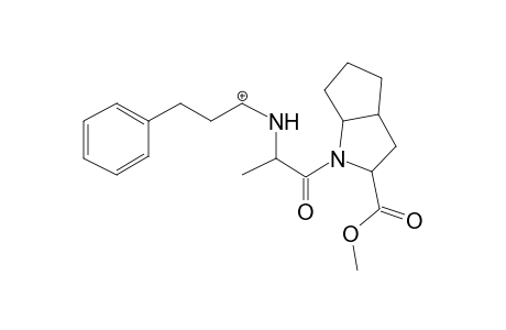 Ramipril-M/artifact (+ME) MS3_1