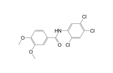 3,4-dimethoxy-N-(2,4,5-trichlorophenyl)benzamide