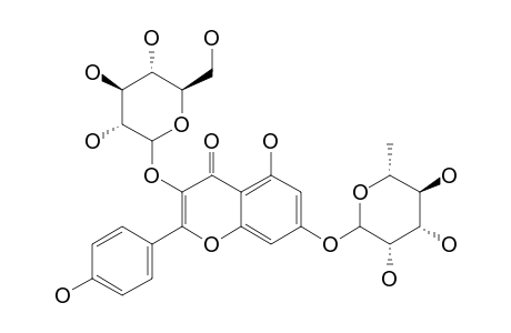 KAEMPFEROL-3-O-GLUCOSIDE-7-O-RHAMNOSIDE