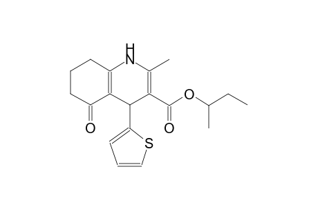 Sec-butyl 2-methyl-5-oxo-4-(2-thienyl)-1,4,5,6,7,8-hexahydro-3-quinolinecarboxylate