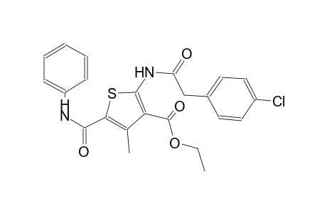 3-thiophenecarboxylic acid, 2-[[(4-chlorophenyl)acetyl]amino]-4-methyl-5-[(phenylamino)carbonyl]-, ethyl ester