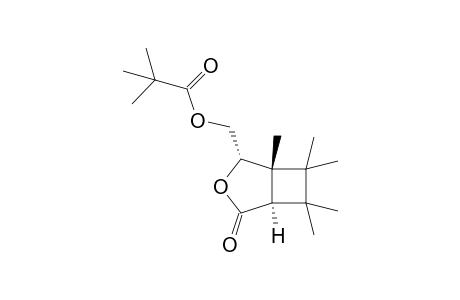 (1R,4S,5S)-5-Methyl-4-pivaloyloxymethyl-6,6,7,7-tetramethyl-3-oxabicyclo[3.2.0]heptan-2-one