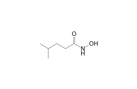N-Hydroxy-4-methylpentanamide