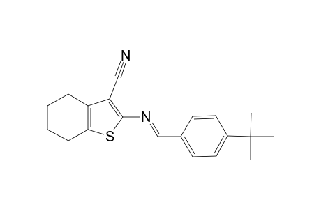 2-([(E)-(4-tert-Butylphenyl)methylidene]amino)-4,5,6,7-tetrahydro-1-benzothiophene-3-carbonitrile