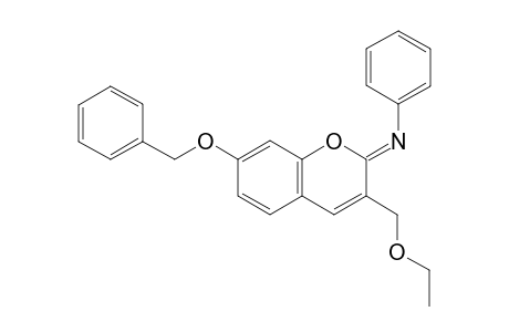 7-Benzyloxy-3-ethoxymethyl-(Z)-2-phenylimino-2H-chromene