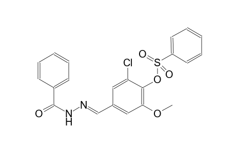 4-[(E)-(benzoylhydrazono)methyl]-2-chloro-6-methoxyphenyl benzenesulfonate