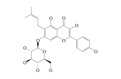 #2;7-O-BETA-D-GLUCOPYRANOSYL-6-(3-METHYL-BUT-2-ENYL)-3,5,4'-TRIHYDROXY-FLAVONE;6-BETA,BETA-DIMETHYLALLYL-KAEMPFEROL-7-O-BETA-D-GLUCOPIRANOSIDE