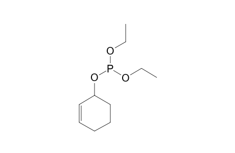 CYCLOHEX-2-ENYL_DIETHYL_PHOSPHITE