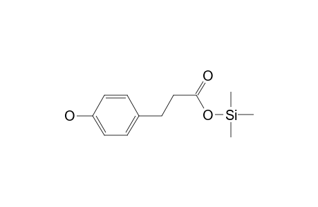 Phloretic acid, tms derivative