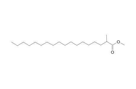 Octadecanoic acid, 2-methyl-, methyl ester