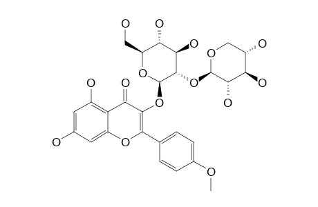 KAEMPFERIDE-3-O-BETA-XYLOPYRANOSYL-(1->2)-BETA-GLUCOPYRANOSIDE