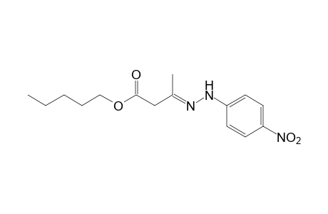 acetoacetic acid, pentyl ester, p-dinitrophenylhydrazone