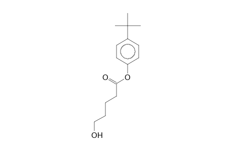 Pentanoic acid, 5-hydroxy-, p-t-butylphenyl ester