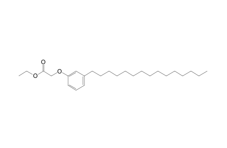 (m-pentadecylphenoxy)acetic acid, ethyl ester