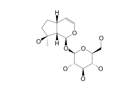 GLUROSIDE