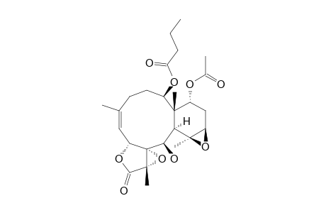 STECHOLIDE-E