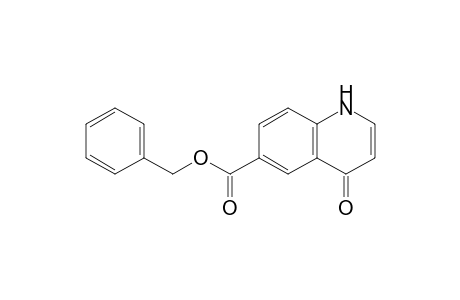 (phenylmethyl) 4-oxidanylidene-1H-quinoline-6-carboxylate
