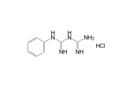 phenylbiguanide, hydrochloride