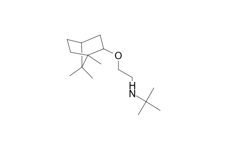 2-methyl-N-{2-[(1,7,7-trimethylbicyclo[2.2.1]hept-2-yl)oxy]ethyl}-2-propanamine