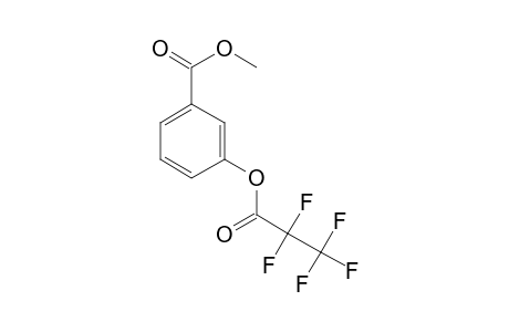 Methyl 3-pentafluoropropionyloxybenzoate