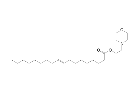 Octadeca-9-enoic acid 2-(1-aza-4-oxacyclohexyl)ethyl ester