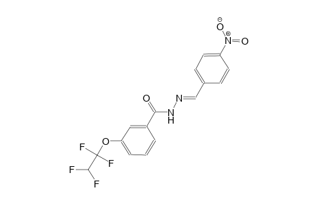 N'-[(E)-(4-nitrophenyl)methylidene]-3-(1,1,2,2-tetrafluoroethoxy)benzohydrazide