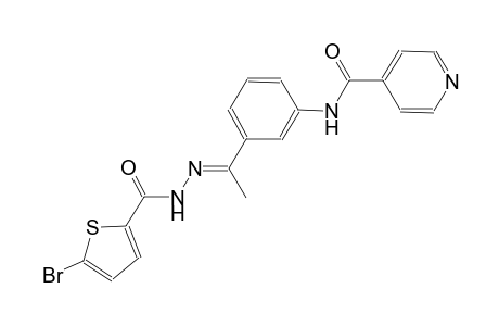 N-(3-{(1E)-N-[(5-bromo-2-thienyl)carbonyl]ethanehydrazonoyl}phenyl)isonicotinamide