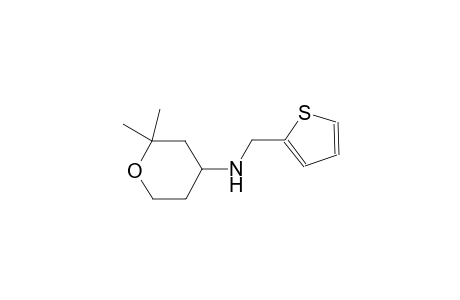 2H-pyran-4-amine, tetrahydro-2,2-dimethyl-N-(2-thienylmethyl)-