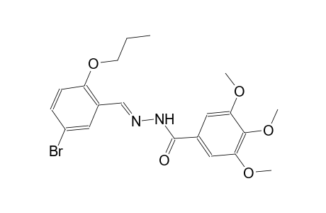 N'-[(E)-(5-bromo-2-propoxyphenyl)methylidene]-3,4,5-trimethoxybenzohydrazide