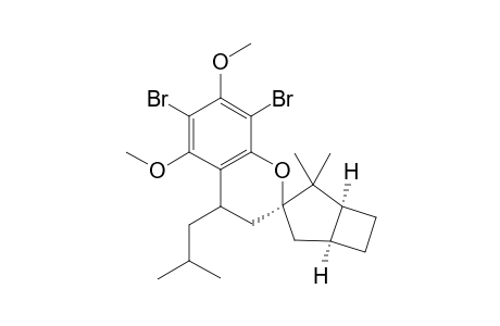 (+,-)-[1'.alpha.,3'.beta.,3'(R*),5'.alpha.]-6,8-dibromo-3,4-dihydro-5,7-dimethoxy-2',2'-dimethyl-4-(2-methylpropyl)spiro[2H-1-benzopyran-2,3'-bicyclo[3.2.0]heptane]