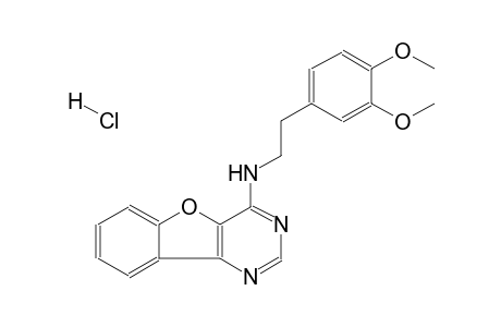 N-(3,4-dimethoxyphenethyl)benzofuro[3,2-d]pyrimidin-4-amine hydrochloride