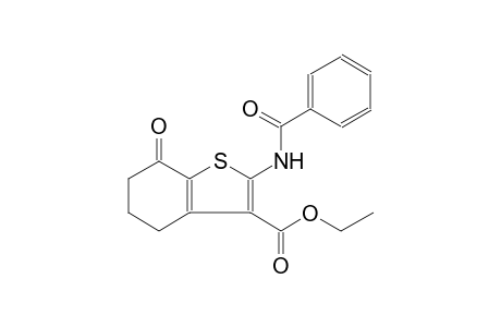 Ethyl 2-(benzoylamino)-7-oxo-4,5,6,7-tetrahydro-1-benzothiophene-3-carboxylate