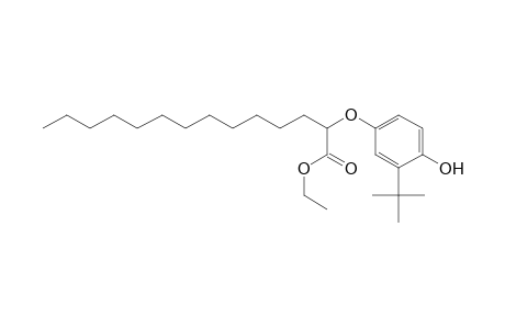 Ethyl-alpha-(3-t-butyl-4-hydroxyphenoxy)myristate