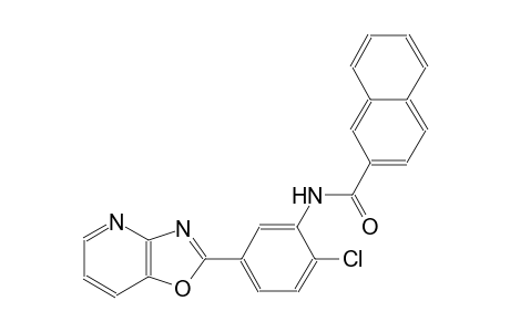 2-naphthalenecarboxamide, N-(2-chloro-5-oxazolo[4,5-b]pyridin-2-ylphenyl)-