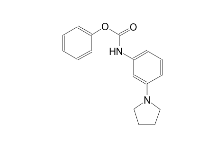 carbamic acid, [3-(1-pyrrolidinyl)phenyl]-, phenyl ester