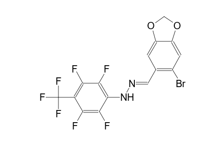1,3-benzodioxole-5-carboxaldehyde, 6-bromo-, [2,3,5,6-tetrafluoro-4-(trifluoromethyl)phenyl]hydrazone
