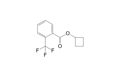 2-(Trifluoromethyl)benzoic acid. cyclobutyl ester