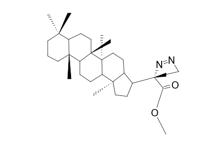 1-PYRAZOLINE DERIVATIVE OF TUBEROSIC ACID METHYL ESTER