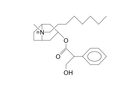N-Octyl-atropinium cation (syn-octyl)
