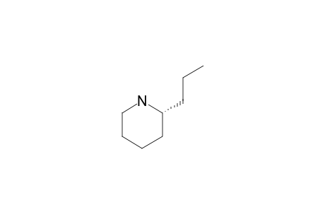 (R)-CONIINE;(R)-2-PROPYLPIPERIDINE
