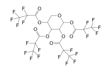 Xylose 4PFP