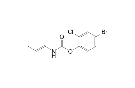 Carbamic acid, 1-propenyl-, 4-bromo-2-chlorophenyl ester