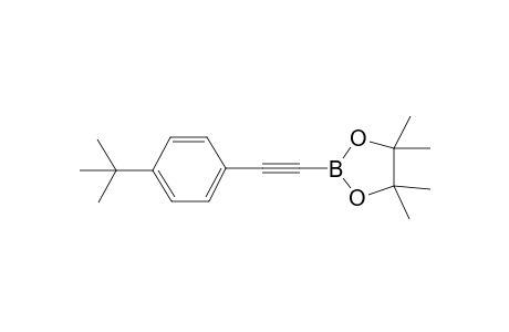 2-((4-(t-Butyl)phenyl)ethynyl)-4,4,5,5-tetramethyl-1,3,2-dioxaborolane