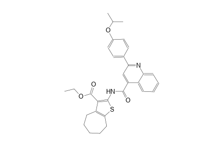 ethyl 2-({[2-(4-isopropoxyphenyl)-4-quinolinyl]carbonyl}amino)-5,6,7,8-tetrahydro-4H-cyclohepta[b]thiophene-3-carboxylate