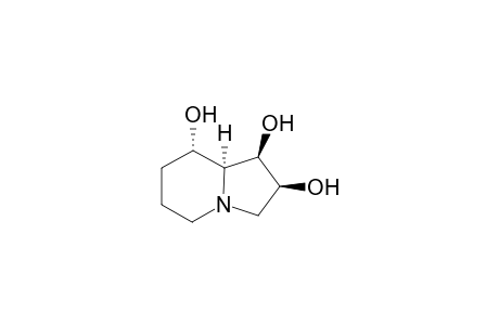 (1R,2S,8S,8aS)-1,2,3,5,6,7,8,8a-octahydroindolizine-1,2,8-triol